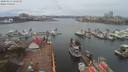 ./images/victoria/wharf/20200313/wharf20200313_122458.jpg