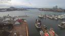 ./images/victoria/wharf/20200313/wharf20200313_153952.jpg