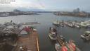 ./images/victoria/wharf/20200313/wharf20200313_154455.jpg