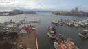./images/victoria/wharf/20200313/wharf20200313_155953.jpg