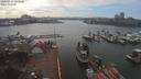 ./images/victoria/wharf/20200314/wharf20200314_152957.jpg