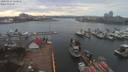 ./images/victoria/wharf/20200314/wharf20200314_155451.jpg