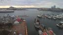 ./images/victoria/wharf/20200314/wharf20200314_160456.jpg