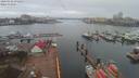 ./images/victoria/wharf/20200322/wharf20200322_074954.jpg