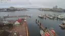 ./images/victoria/wharf/20200322/wharf20200322_080955.jpg