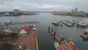 ./images/victoria/wharf/20200322/wharf20200322_082956.jpg