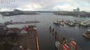 ./images/victoria/wharf/20200323/wharf20200323_150953.jpg