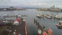 ./images/victoria/wharf/20200324/wharf20200324_102453.jpg
