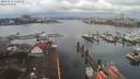 ./images/victoria/wharf/20200324/wharf20200324_110949.jpg