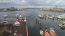 ./images/victoria/wharf/20200324/wharf20200324_120956.jpg
