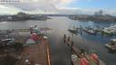 ./images/victoria/wharf/20200325/wharf20200325_150952.jpg