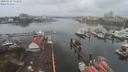 ./images/victoria/wharf/20200327/wharf20200327_112951.jpg