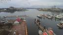 ./images/victoria/wharf/20200328/wharf20200328_124952.jpg