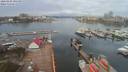 ./images/victoria/wharf/20200402/wharf20200402_093953.jpg