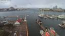 ./images/victoria/wharf/20200403/wharf20200403_110953.jpg