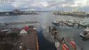 ./images/victoria/wharf/20200404/wharf20200404_111454.jpg