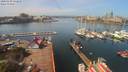 ./images/victoria/wharf/20200410/wharf20200410_121455.jpg