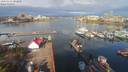 ./images/victoria/wharf/20200411/wharf20200411_091454.jpg