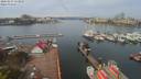 ./images/victoria/wharf/20200417/wharf20200417_112952.jpg