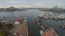 ./images/victoria/wharf/20200417/wharf20200417_141429.jpg