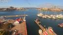 ./images/victoria/wharf/20200419/wharf20200419_112451.jpg