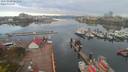 ./images/victoria/wharf/20200420/wharf20200420_080452.jpg