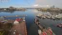 ./images/victoria/wharf/20200420/wharf20200420_100958.jpg
