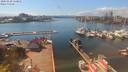 ./images/victoria/wharf/20200420/wharf20200420_145952.jpg