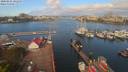 ./images/victoria/wharf/20200421/wharf20200421_100217.jpg