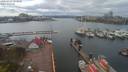 ./images/victoria/wharf/20200421/wharf20200421_150624.jpg