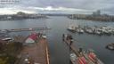 ./images/victoria/wharf/20200421/wharf20200421_152404.jpg