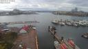 ./images/victoria/wharf/20200421/wharf20200421_154940.jpg