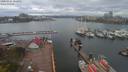 ./images/victoria/wharf/20200421/wharf20200421_161154.jpg