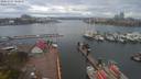 ./images/victoria/wharf/20200421/wharf20200421_161918.jpg