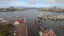 ./images/victoria/wharf/20200423/wharf20200423_100958.jpg