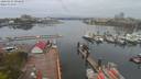 ./images/victoria/wharf/20200424/wharf20200424_093953.jpg