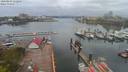 ./images/victoria/wharf/20200424/wharf20200424_111452.jpg