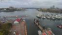./images/victoria/wharf/20200424/wharf20200424_112458.jpg