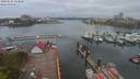 ./images/victoria/wharf/20200424/wharf20200424_112952.jpg