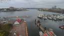 ./images/victoria/wharf/20200424/wharf20200424_114431.jpg