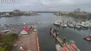 ./images/victoria/wharf/20200424/wharf20200424_114954.jpg