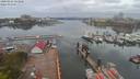 ./images/victoria/wharf/20200424/wharf20200424_120957.jpg
