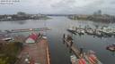 ./images/victoria/wharf/20200424/wharf20200424_131950.jpg
