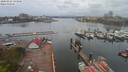 ./images/victoria/wharf/20200424/wharf20200424_132453.jpg