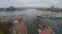 ./images/victoria/wharf/20200424/wharf20200424_140952.jpg