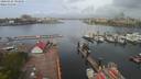./images/victoria/wharf/20200426/wharf20200426_094951.jpg