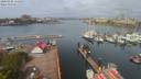 ./images/victoria/wharf/20200426/wharf20200426_111453.jpg