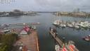 ./images/victoria/wharf/20200426/wharf20200426_122458.jpg