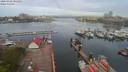 ./images/victoria/wharf/20200428/wharf20200428_081453.jpg