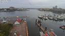 ./images/victoria/wharf/20200428/wharf20200428_131451.jpg